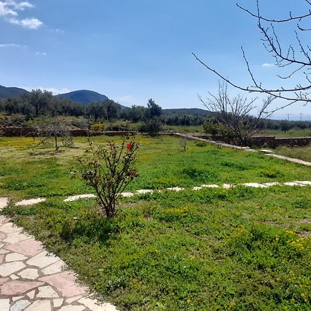 “Villa Othon-Leni” Paralia Demonias Exteriör bild