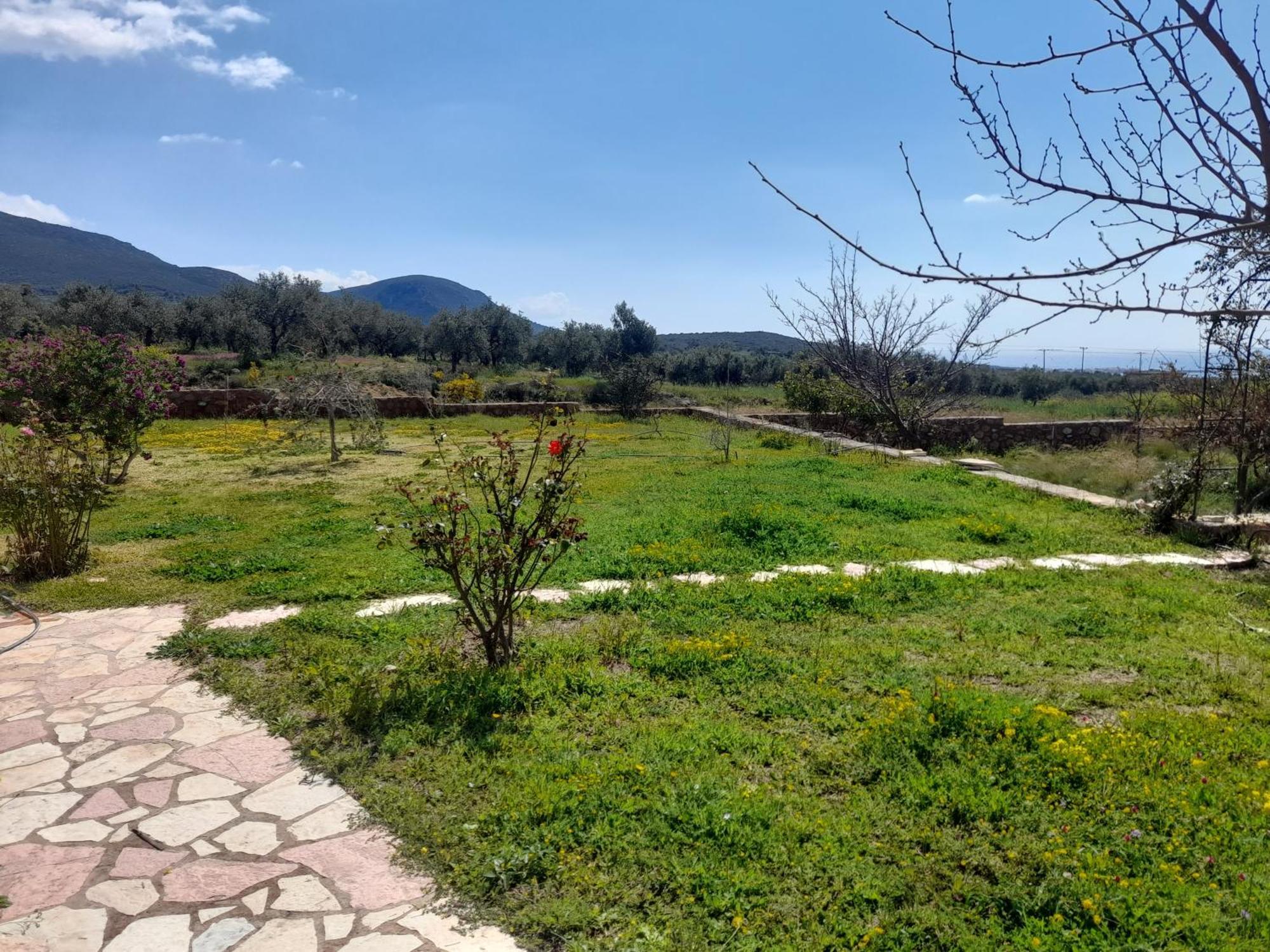 “Villa Othon-Leni” Paralia Demonias Exteriör bild