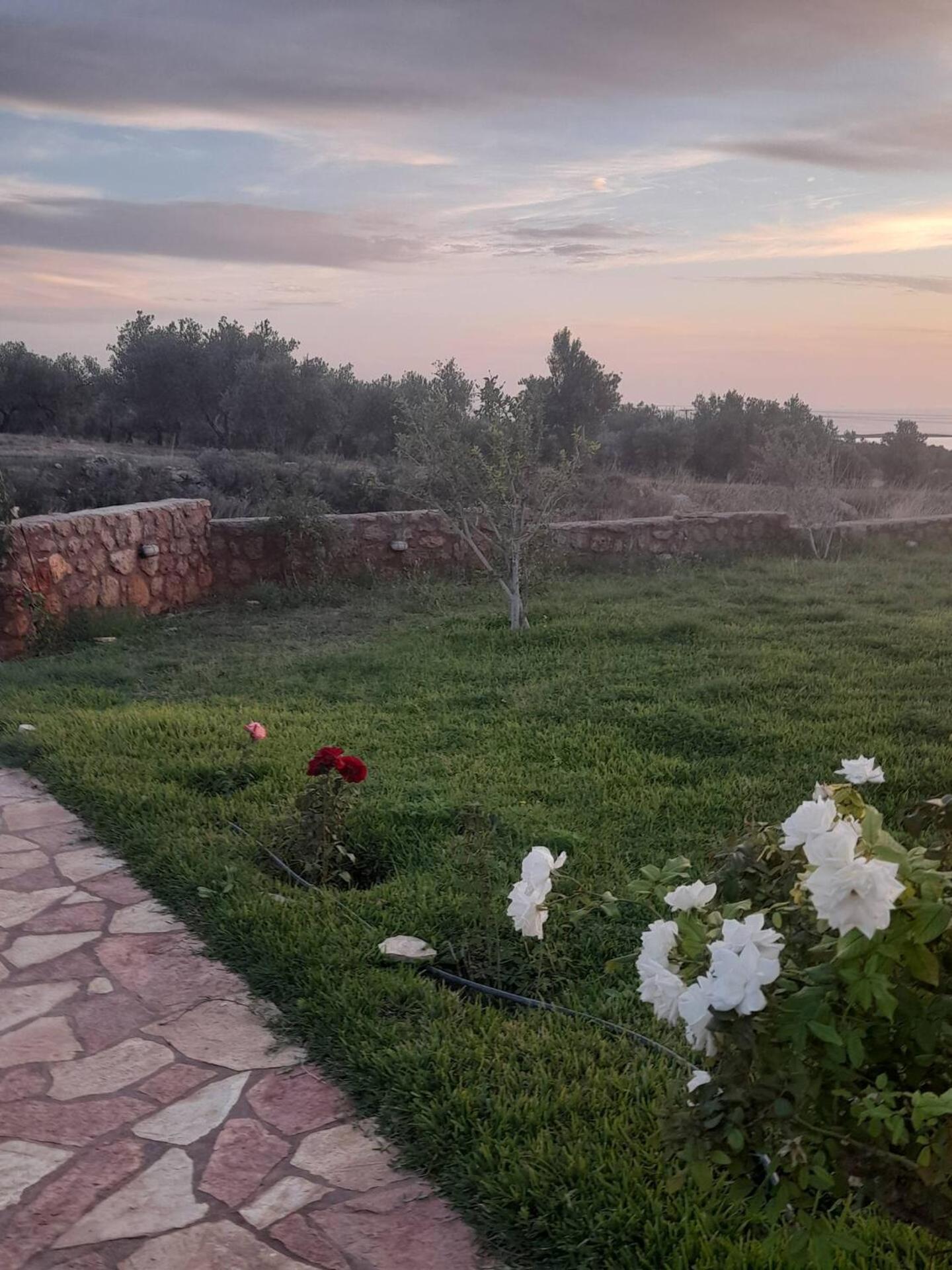 “Villa Othon-Leni” Paralia Demonias Exteriör bild