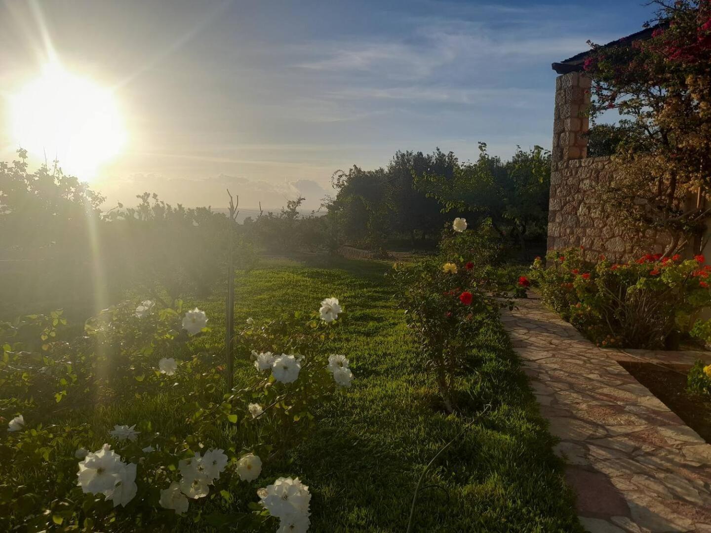 “Villa Othon-Leni” Paralia Demonias Exteriör bild